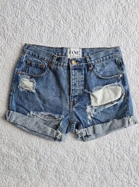 One By One Teaspoon Chargers Distressed Mid Rise Shorts